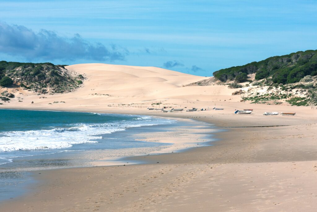 Bolonia